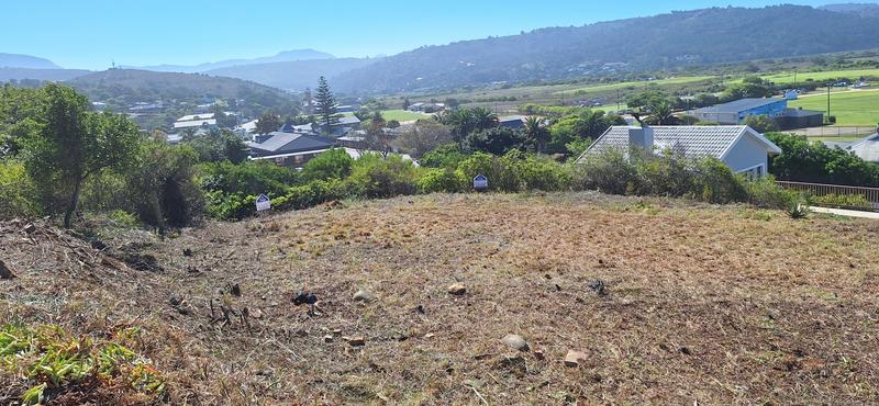 0 Bedroom Property for Sale in Groot Brakrivier Central Western Cape